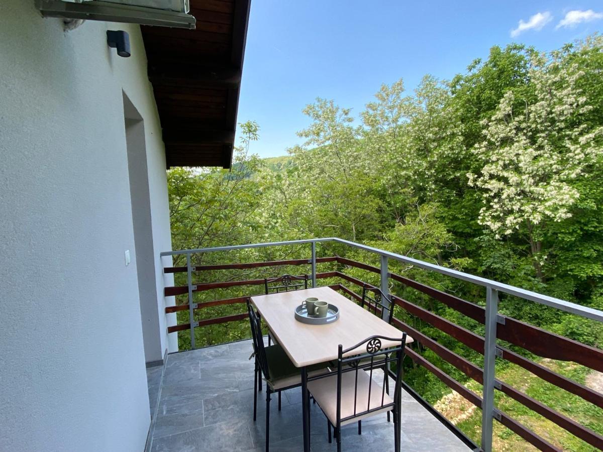 Apartman “bear Hill”