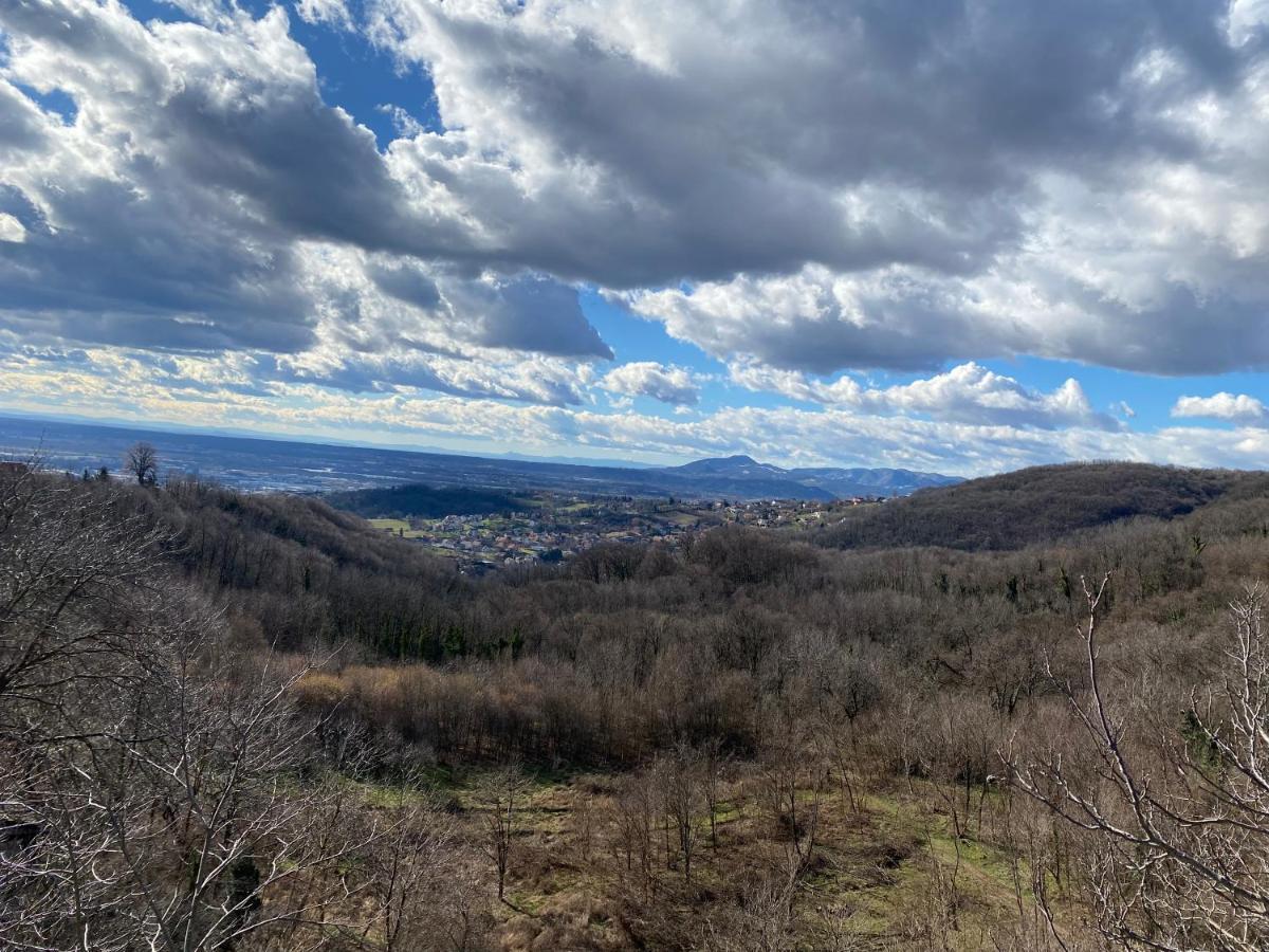 “bear Hill” Apartman
